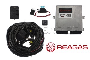 REAGAS - 2568D